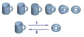 Topología